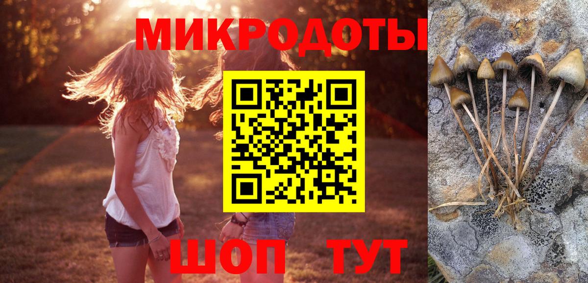 Нарткала  Псилоцибиновые грибы GOLDEN TEACHER  Вход с VPN 