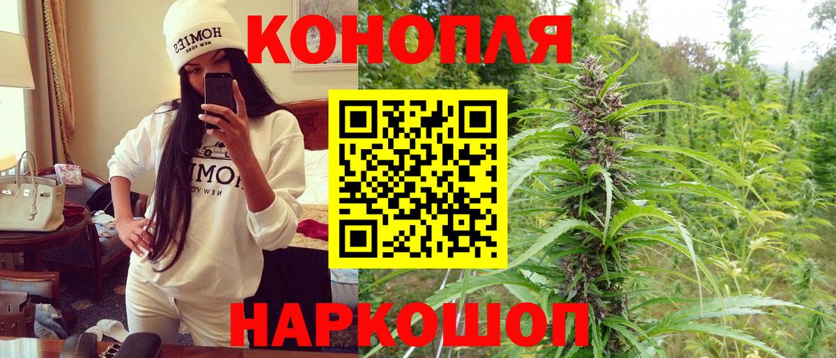 Бошки Шишки план Нарткала